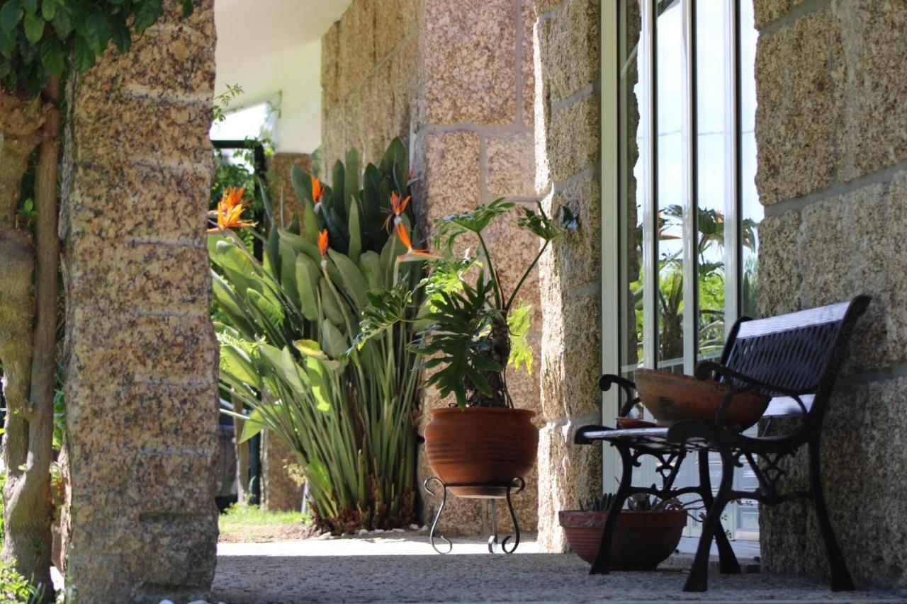 The Oak'S Wolf-Country House Fafe Exterior foto